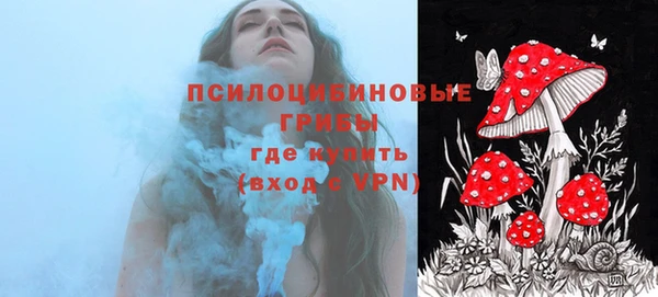 a pvp Алзамай