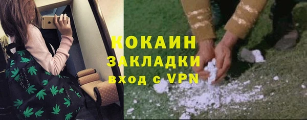 индика Алексеевка