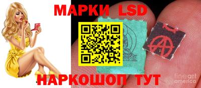 spice Ростов-на-Дону