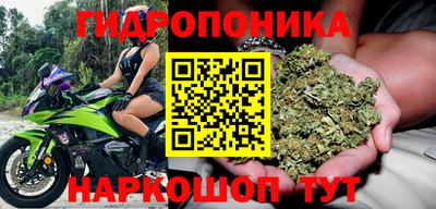 spice Ростов-на-Дону