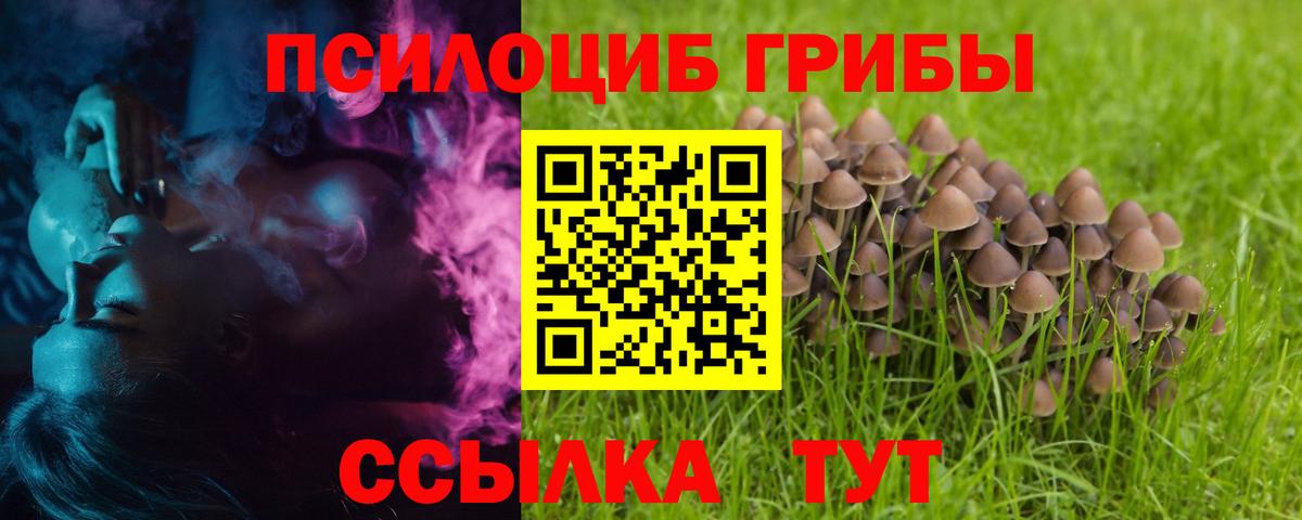 купить наркотик  Вход с VPN  Анжеро-Судженск  Псилоцибиновые грибы Psilocybine cubensis 